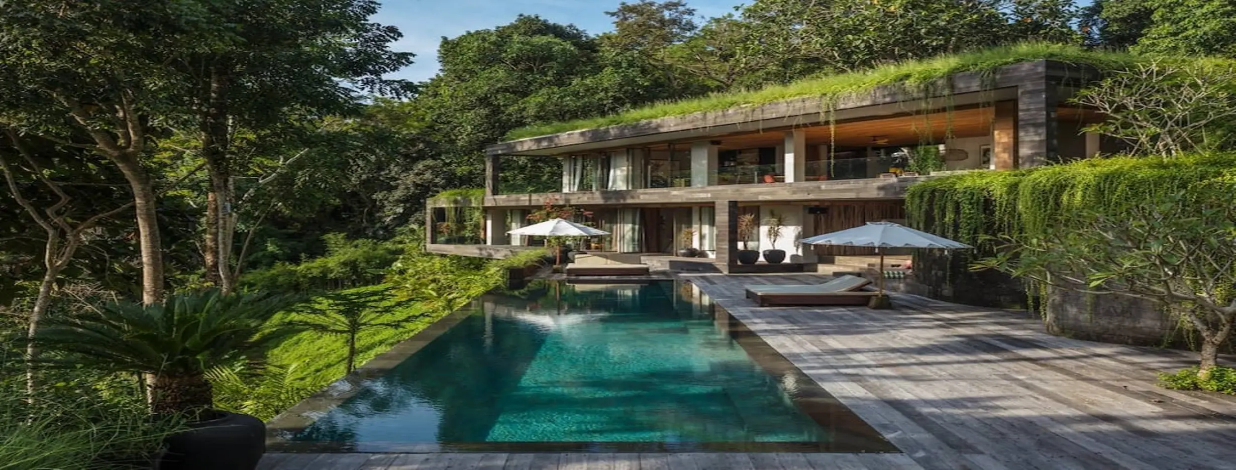 Image for Modern Jungle Residences